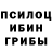 Галлюциногенные грибы MAGIC MUSHROOMS Olexiy Sivak