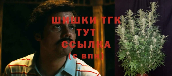 мдпв Козловка