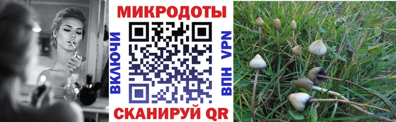 Псилоцибиновые грибы мицелий  купить наркоту  Ахтырский 